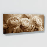 Ranunculus Sepia Floral 21