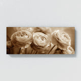 Ranunculus Sepia Floral 21