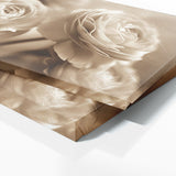 Ranunculus Sepia Floral 21