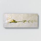 Freesia Elegant 12