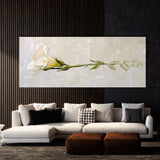 Freesia Elegant 12
