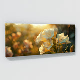 Freesia Radiance 33