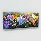 Freesia Sunlit 24