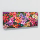 Azalea Bloom Symphony 6