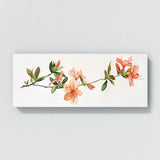 Azalea Grace 9