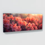 Azalea Twilight Serenity 15