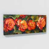 Begonia Bloom Symphony 1