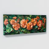 Begonia Lush Beauty 2