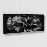 Begonia Monochrome Elegance 12