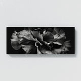 Begonia Monochrome Elegance 12
