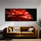 Begonia Noir 11