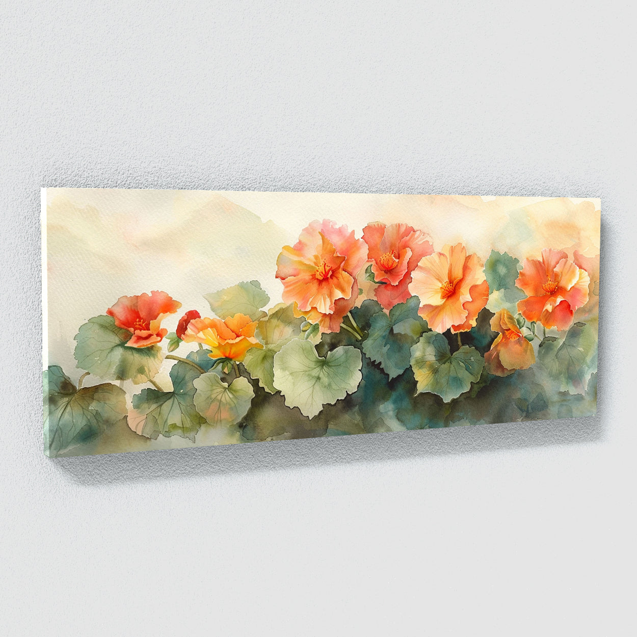 Begonia Vintage Blooms 7
