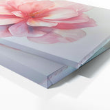 Begonia Whispering Floral Hues 6
