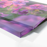 Geranium Dreamscape 15