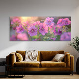 Geranium Dreamscape 15
