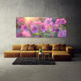Geranium Dreamscape 15