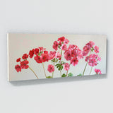 Geranium Essential Elegance 20