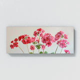 Geranium Essential Elegance 20