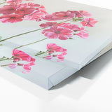 Geranium Essential Elegance 20