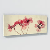 Geranium Essential Elegance 21