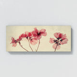Geranium Essential Elegance 21