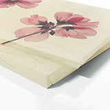 Geranium Essential Elegance 21