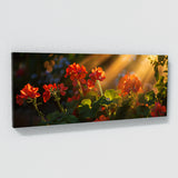 Geranium Golden Shadows 16