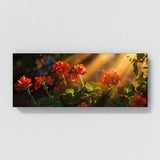 Geranium Golden Shadows 16