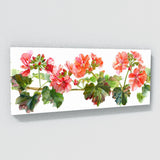 Geranium Graceful Elegance 6