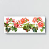Geranium Graceful Elegance 6
