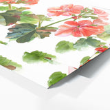 Geranium Graceful Elegance 6
