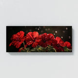 Geranium Melancholy Bloom 17