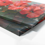 Geranium Radiant Glow 11