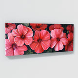 Geranium Shades 23