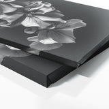 Geranium Shadows 19