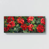 Geranium Vibrant Symphony 1