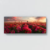 Geranium Vista Epic 18