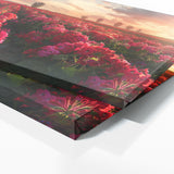 Geranium Vista Epic 18