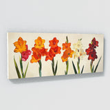 Gladiolu Bold Simplicity 24