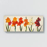 Gladiolu Bold Simplicity 24