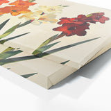 Gladiolu Bold Simplicity 24
