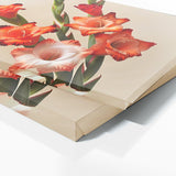 Gladiolu Bold Simplicity 25