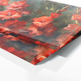 Gladiolu Light Drama 6