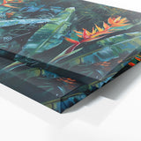 Heliconia Bliss 6