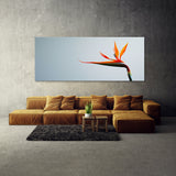 Heliconia Elegance 21