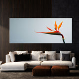 Heliconia Elegance 21