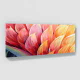 Heliconia Harmony 2
