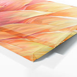 Heliconia Harmony 2