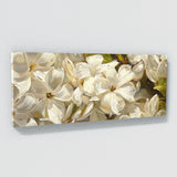 Jasmine Elegance 8