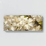 Jasmine Elegance 8